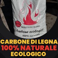 Carbone 100% naturale e ecologico
