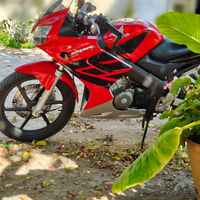 CBR 125r