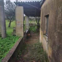 Villa o villino - Piazza Armerina