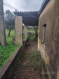 Villa o villino - Piazza Armerina