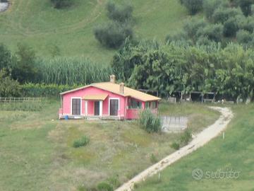 Casa indipendente - 4 locali - Selci