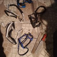 Capezze per cavallo poni asini