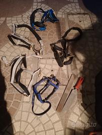 Capezze per cavallo poni asini
