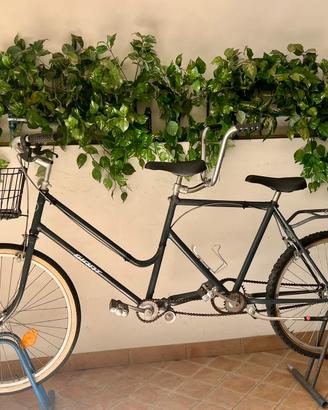 Tandem due posti