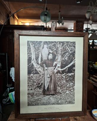Stampa in fototipia dalla lastra originale Alinari