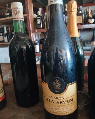 Amarone Bertani 2006