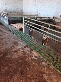 box grigliato per capretti o suini