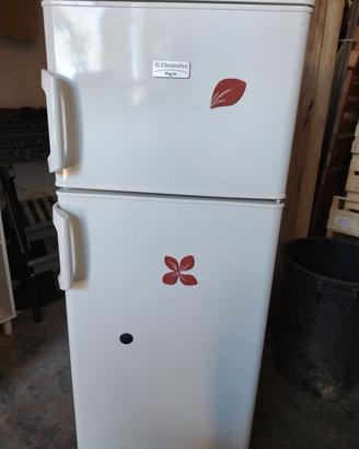 frigo Electrolux Rex