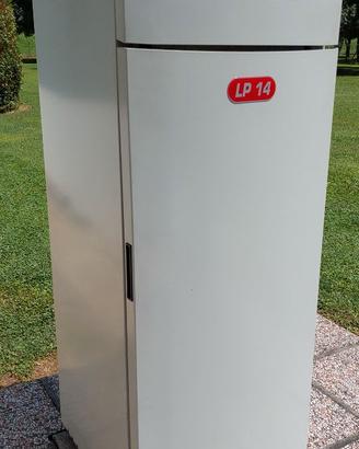 CALDAIA PELLET EXTRAFLAME LP 14