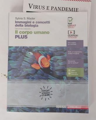 Immagini e concetti biologia / Il corpo umano PLUS