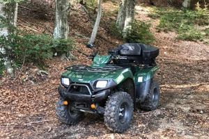 Kavasaki v twin 650 quat