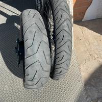 Gomme Triumph Tiger 900