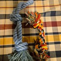 Giochi treccia cane