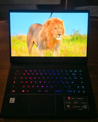 MSI Gp66 Leopard 