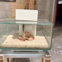 Askoll juwel edge 25 litri