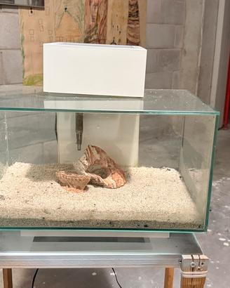 Askoll juwel edge 25 litri