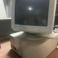 Terminale acer