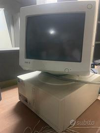 Terminale acer