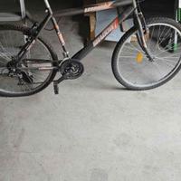montain bike da 26