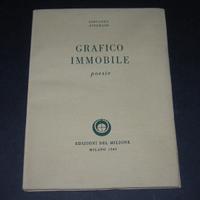 Grafico Immobile - Giovanna Avignano - 1949