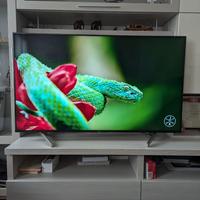 Tv Sony Bravia 4k 55' atv3 - nuova (130 ore)