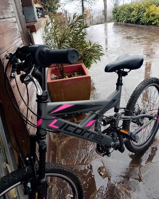 bici montanbike e quod 125