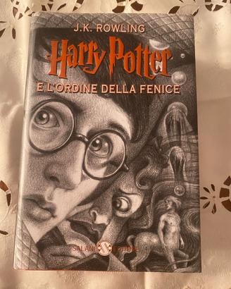 harry potter e l’ordine della fenice