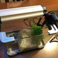 Acquario piccolo 19x20x21 cm