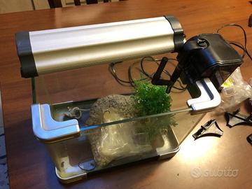 Acquario piccolo 19x20x21 cm