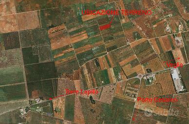 TERRENO AGRICOLO mq.6440