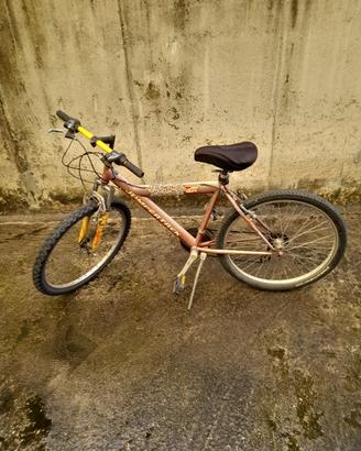 montabike 