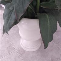 Pianta artificiale