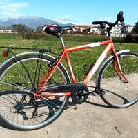 bicicletta City bike da uomo CARNIELLI 