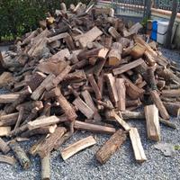LEGNA DI QUERCIA ASSOLUTA 