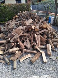 LEGNA DI QUERCIA ASSOLUTA 