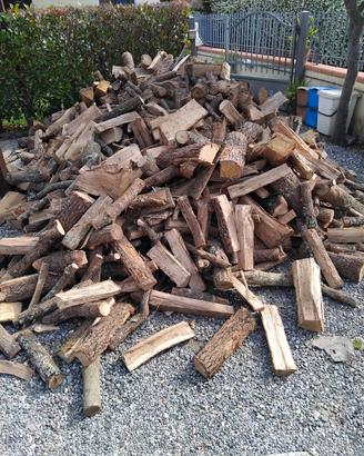 LEGNA DI QUERCIA ASSOLUTA 