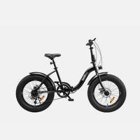 Bicicletta pieghevole