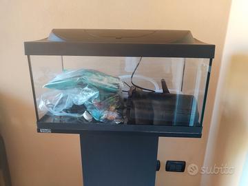 Acquario