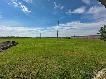 Seminativo a Pavia di Udine