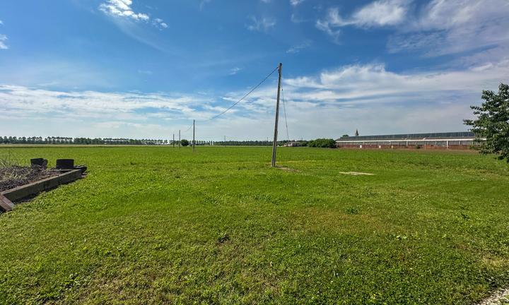 Seminativo a Pavia di Udine