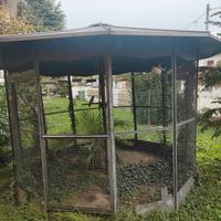  gabbia per volatili 