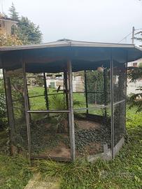  gabbia per volatili 