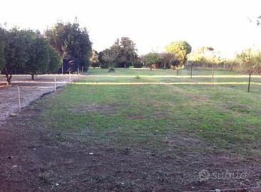 Terreno agricolo
