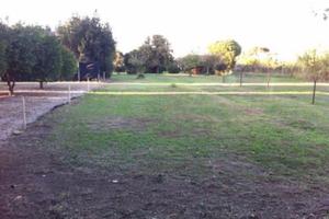 Terreno agricolo
