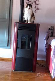 Stufa Kitty Nordica Extraflame