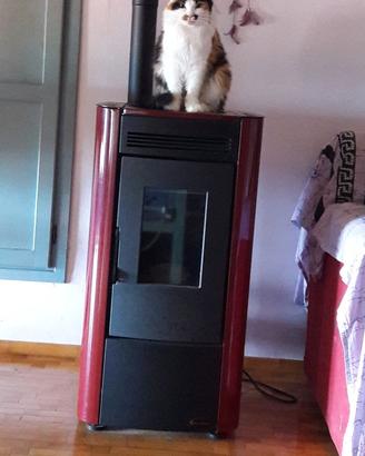 Stufa Kitty Nordica Extraflame