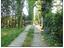 Immagine 15