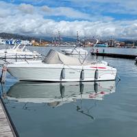 BARCA SELVA 6.70 SD anno 2020 walkaround