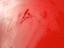 Immagine 10