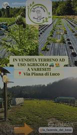 Terreno usa agricolo a varese